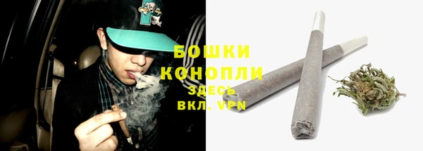 гашик Белоозёрский
