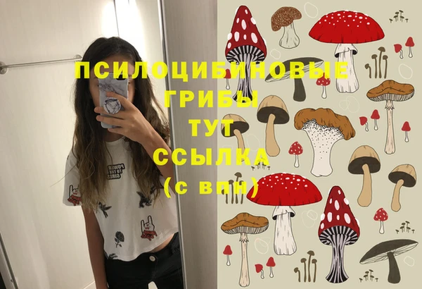 МДМА Беломорск