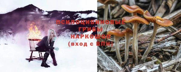 прущая мука Белокуриха