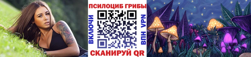 сколько стоит  Шенкурск  Галлюциногенные грибы мухоморы 